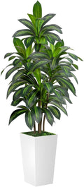VIVATREES Dracaena Tree 5FT Artificial, 60in Tall Faux Dracaena Tree with 15.7 White Planter, Fake Potted Tree for Indoor & Outdoor Home Office Decor