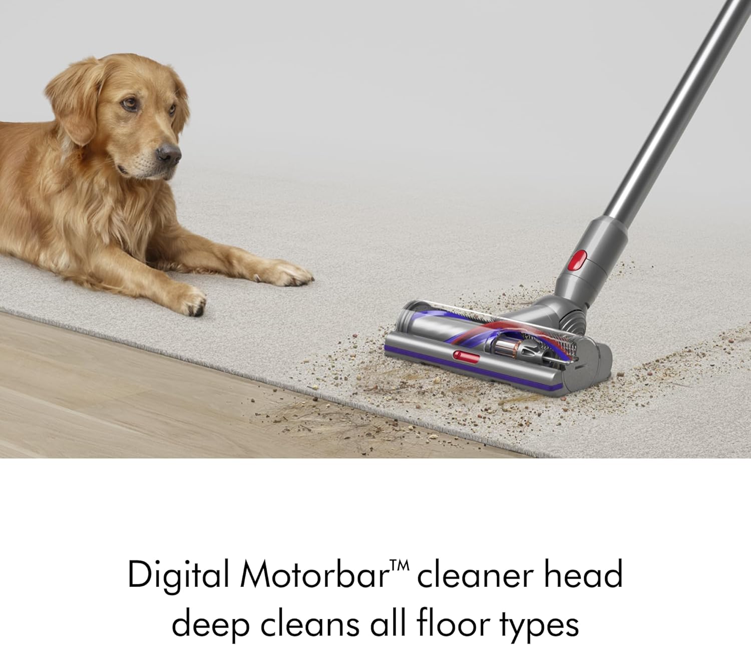 Dyson V15 Detect™ Pro Cordless Vacuum