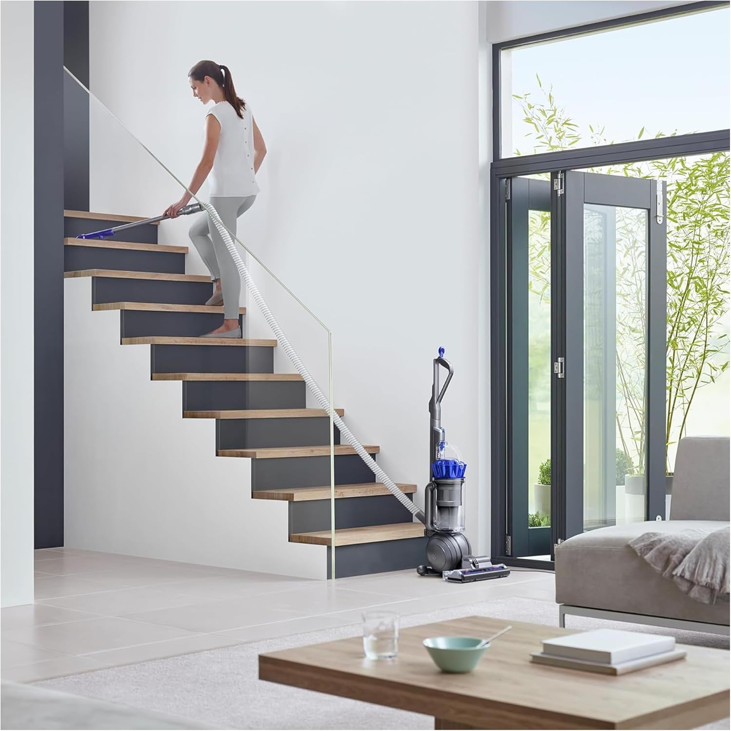 Dyson Ball Animal 2 Plus Corded Vacuum
