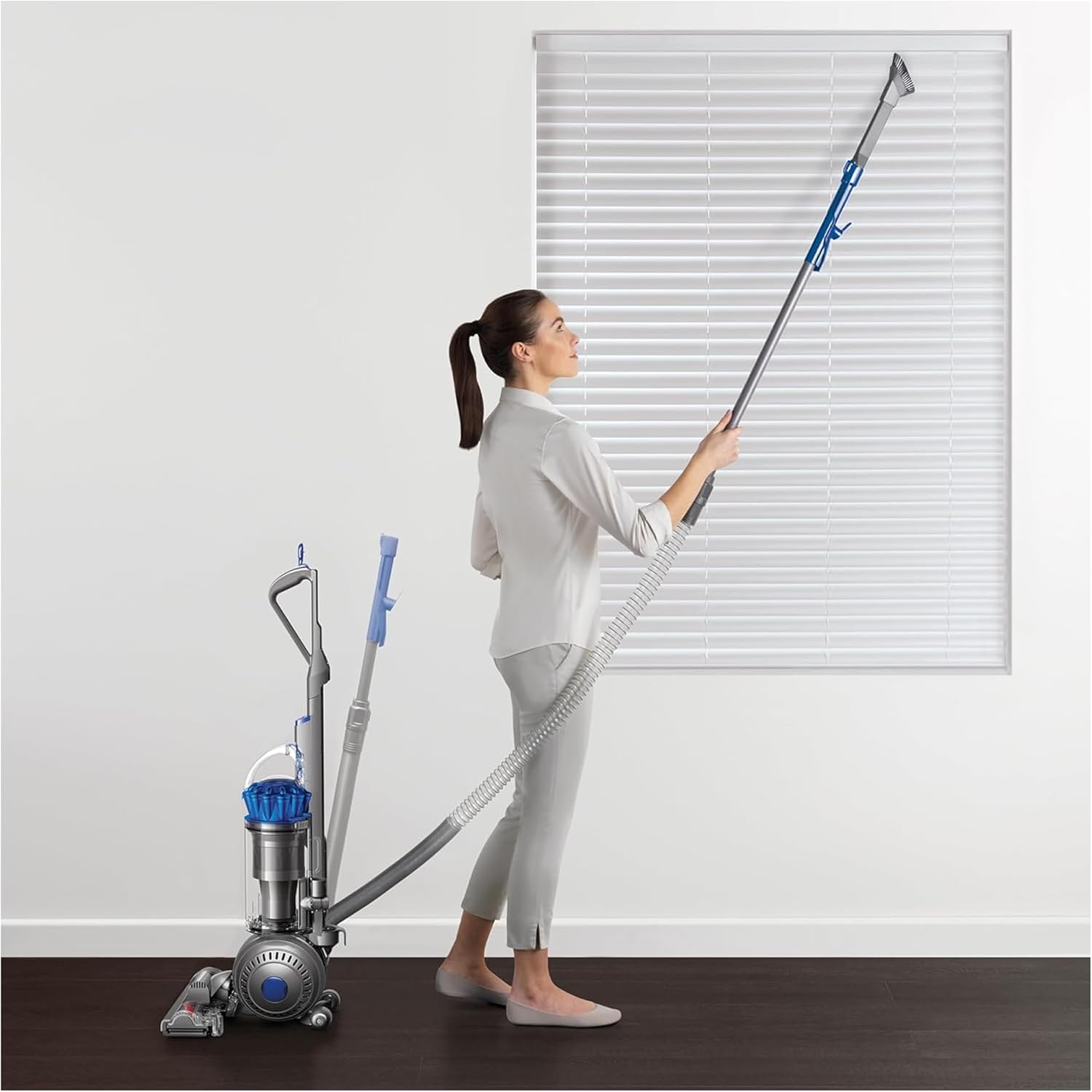 Dyson Ball Animal 2 Plus Corded Vacuum