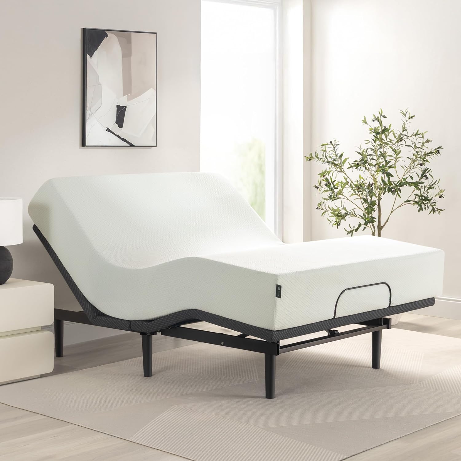 Zinus Nadia Adjustable Bed Frame, Electric Reclining Platform Bed Base, 5-Function Wireless Remote, Independent Head and Foot Incline, Easy, Tool-Free Assembly, Queen