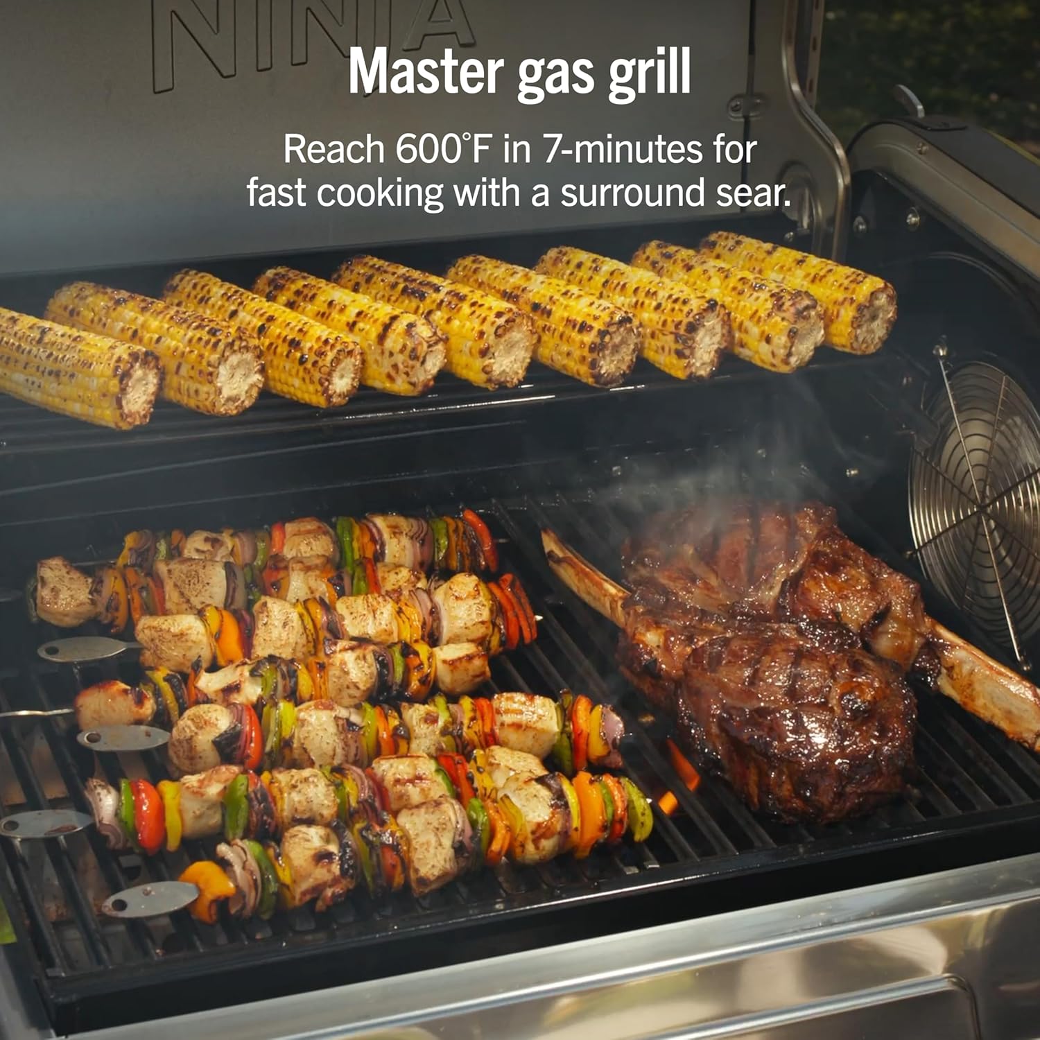 Ninja FlexFlame, Grill and Smoker, Electric and Propane Grill, Roaster, BBQ Grill, 5-in-1 Cooking System, 3 Burner, Digital Control, Outdoor Cooking, Griddle, Pizza Maker, Stainless Steel, PG301