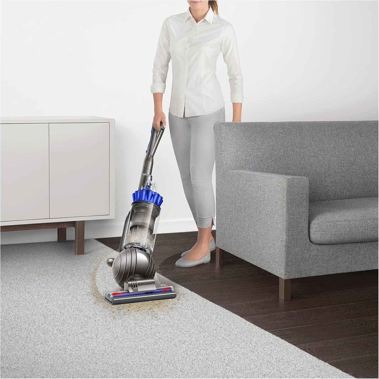 Dyson Ball Animal 2 Plus Corded Vacuum