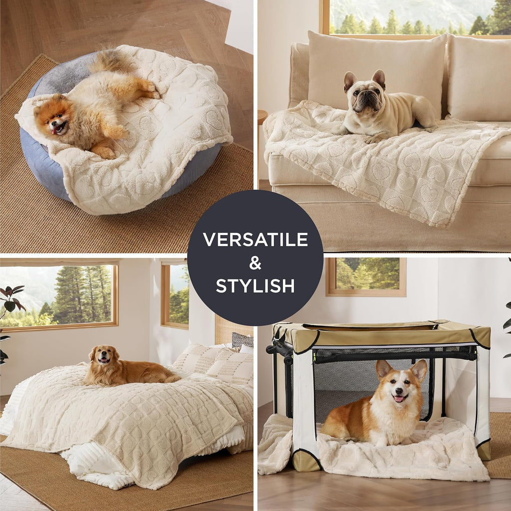 Bedsure Dog Blankets for Medium Dogs Washable - Fluffy Fuzzy Puppy Cat Blanket with Premium 300GSM Coral Fleece Soft for Pet Kitten Doggy, White, 30x40IN