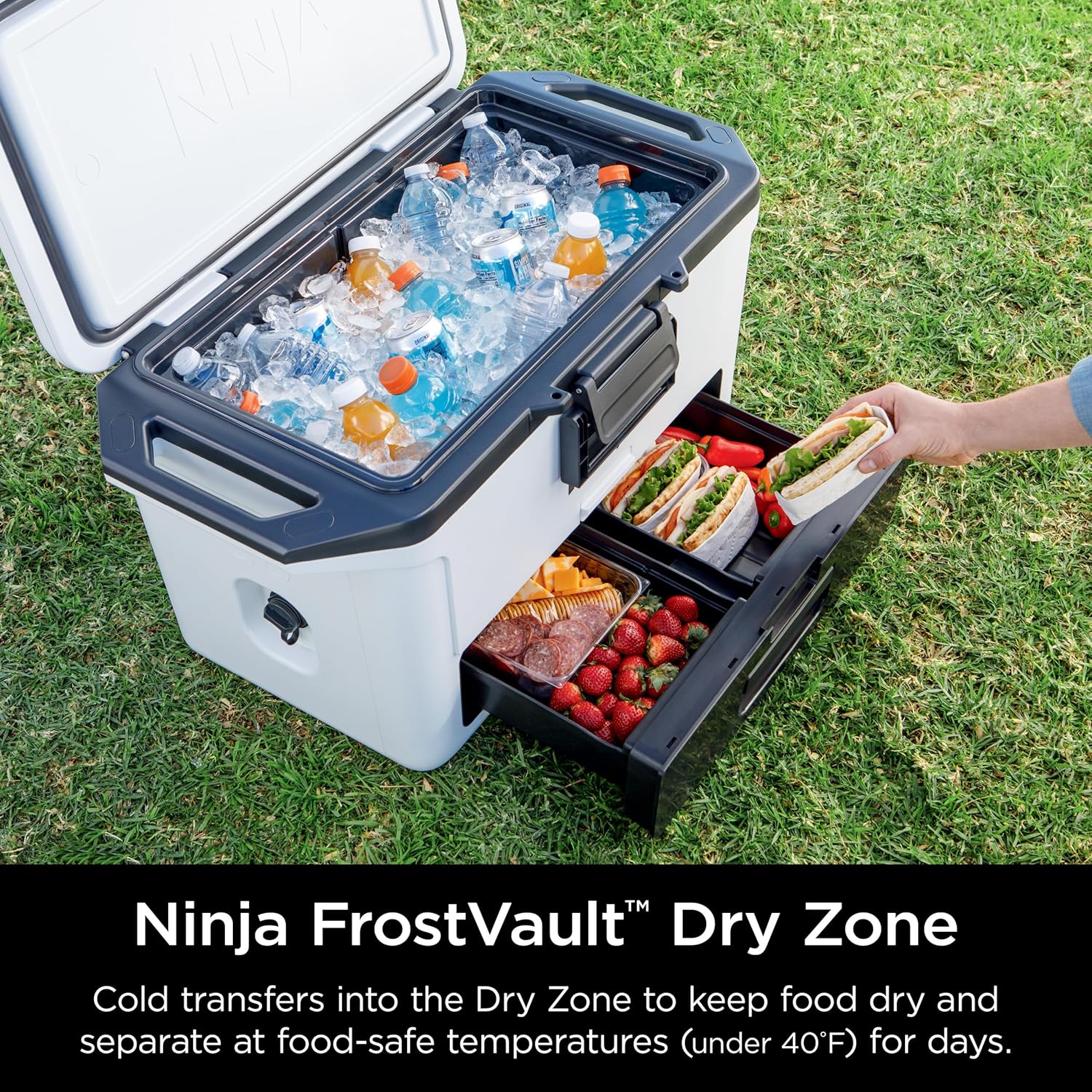 Ninja FrostVault 50qt Hard Cooler with Dry Zone | Integrated Fridge-Temp Dry Storage Drawer | Premium Heavy-Duty Insulated Cooler | Keeps Ice Cold for Days | Spanish Moss | FB151GN1